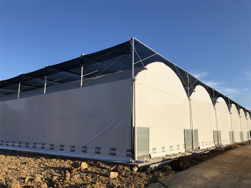 遵義食用菌棚項(xiàng)目