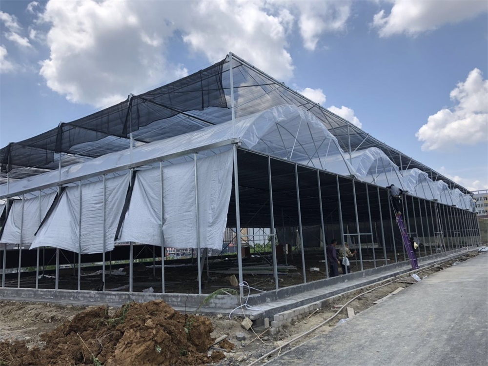重慶溫室大棚