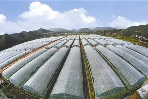 重慶大棚廠