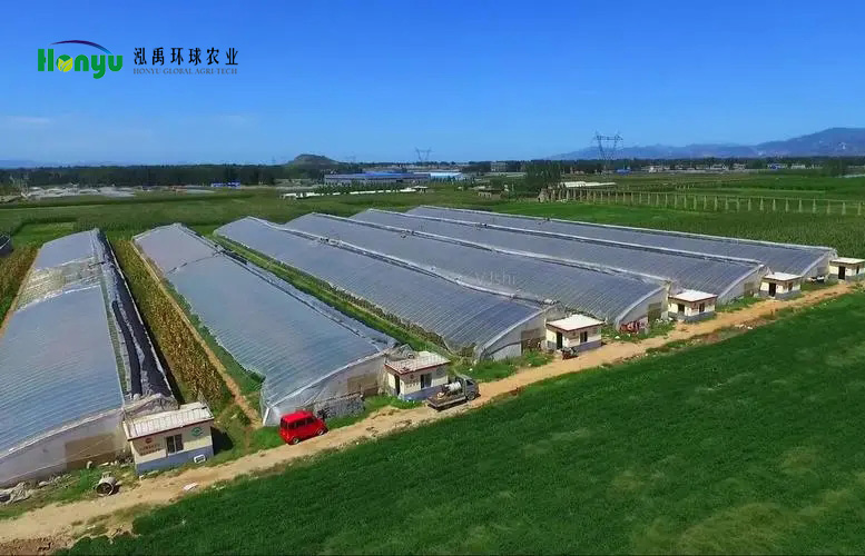 重慶大棚廠