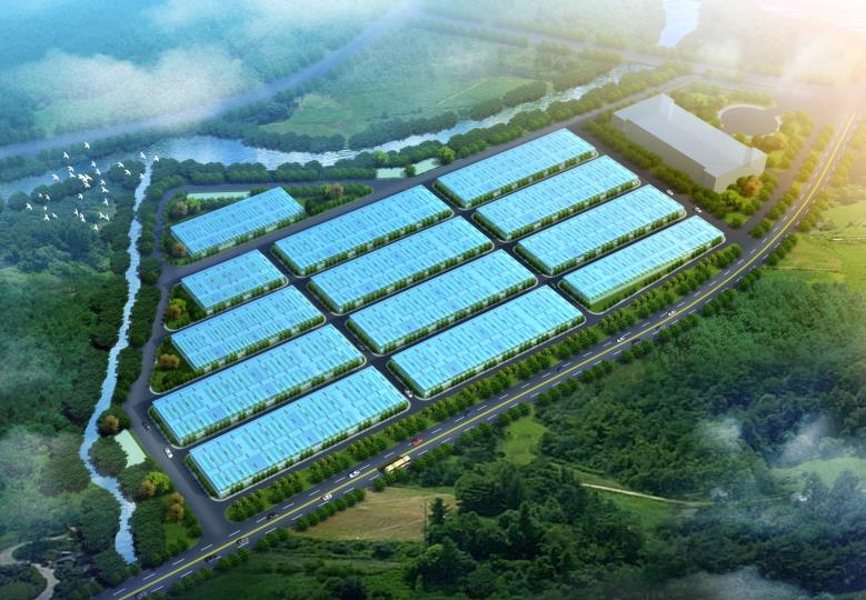 重慶智能溫室大棚建立前留意事項(xiàng)有哪些