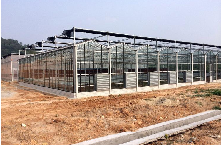 重慶溫室大棚