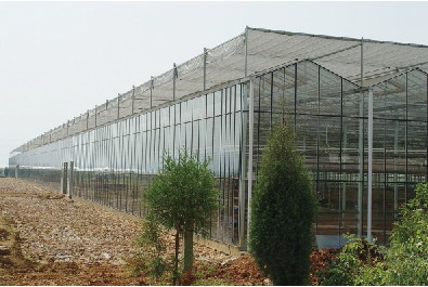 重慶溫室大棚