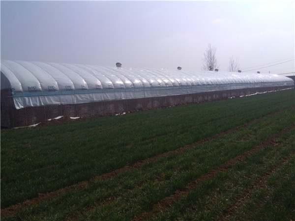 山東養(yǎng)殖大棚施工廠家 重慶溫室大棚