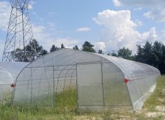 經(jīng)濟(jì)實(shí)用單棟薄膜溫室