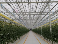 現(xiàn)代智能溫室