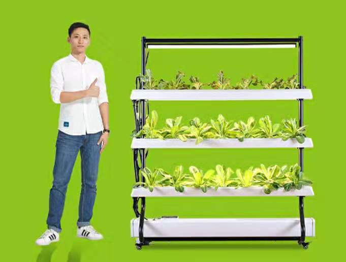 家庭全自動水培種植系統(tǒng)